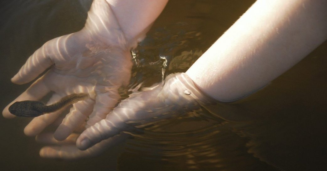 Environmental Learning Centres for school Trips